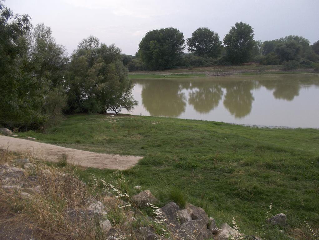La Palmera De La Insula Alcala de Ebro Esterno foto